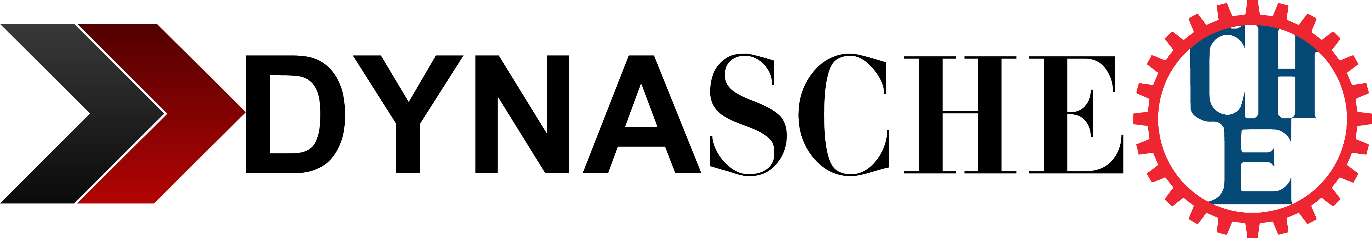 Dyna SCHE Logo